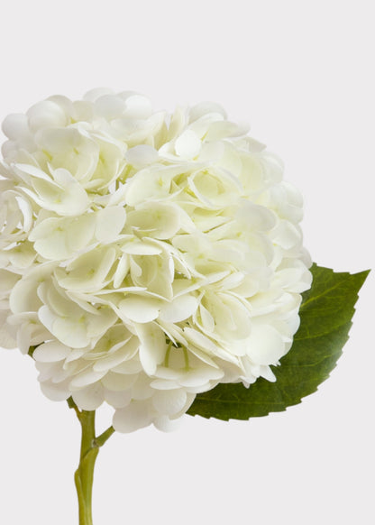 Real Touch Cream White Hydrangea Stem — 22"