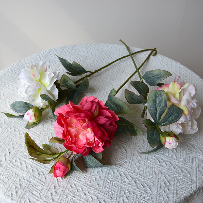 Mixed Colour Peony Bouquet — 5 Stems