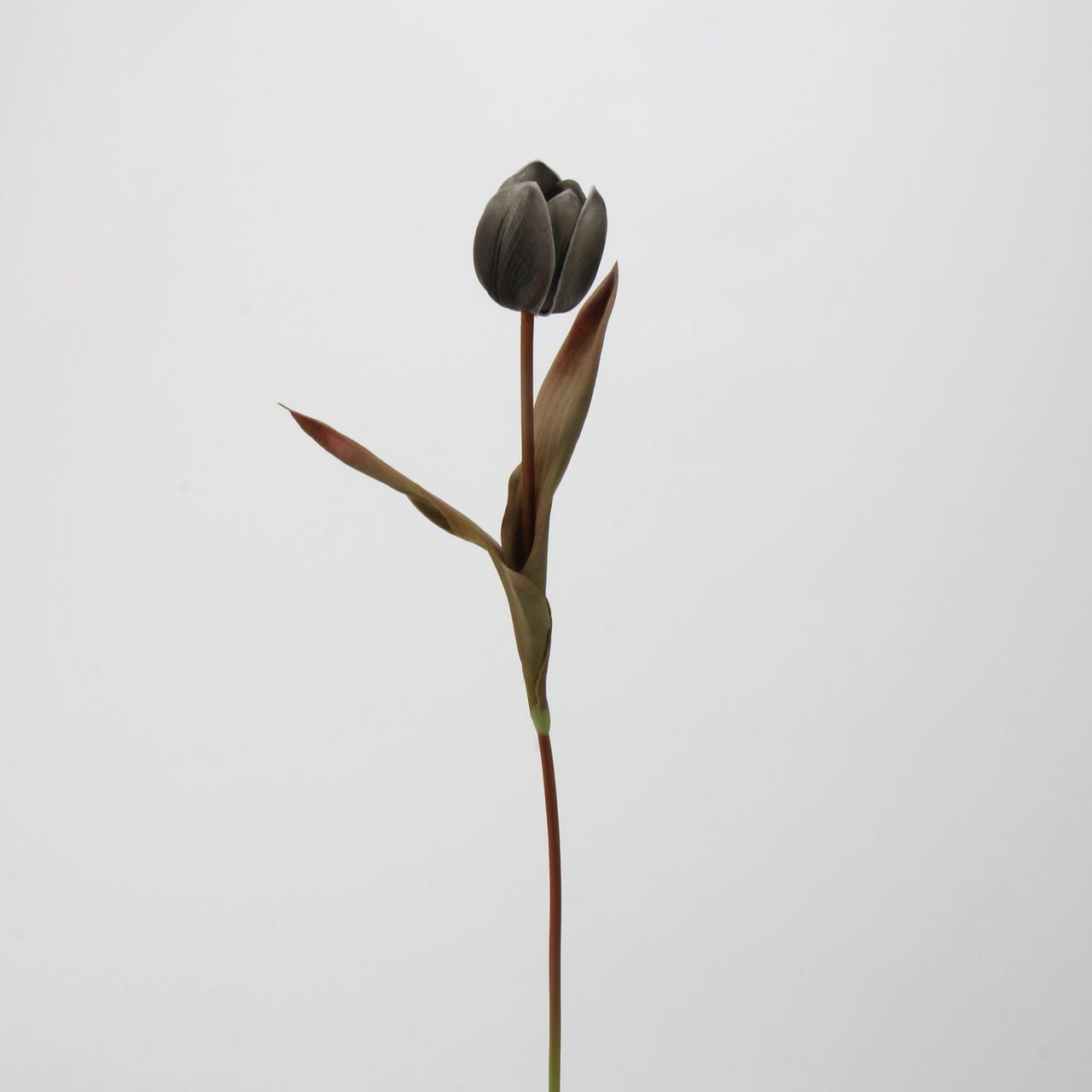 Real Touch Moody Tulip Bouquet — 5 Stems