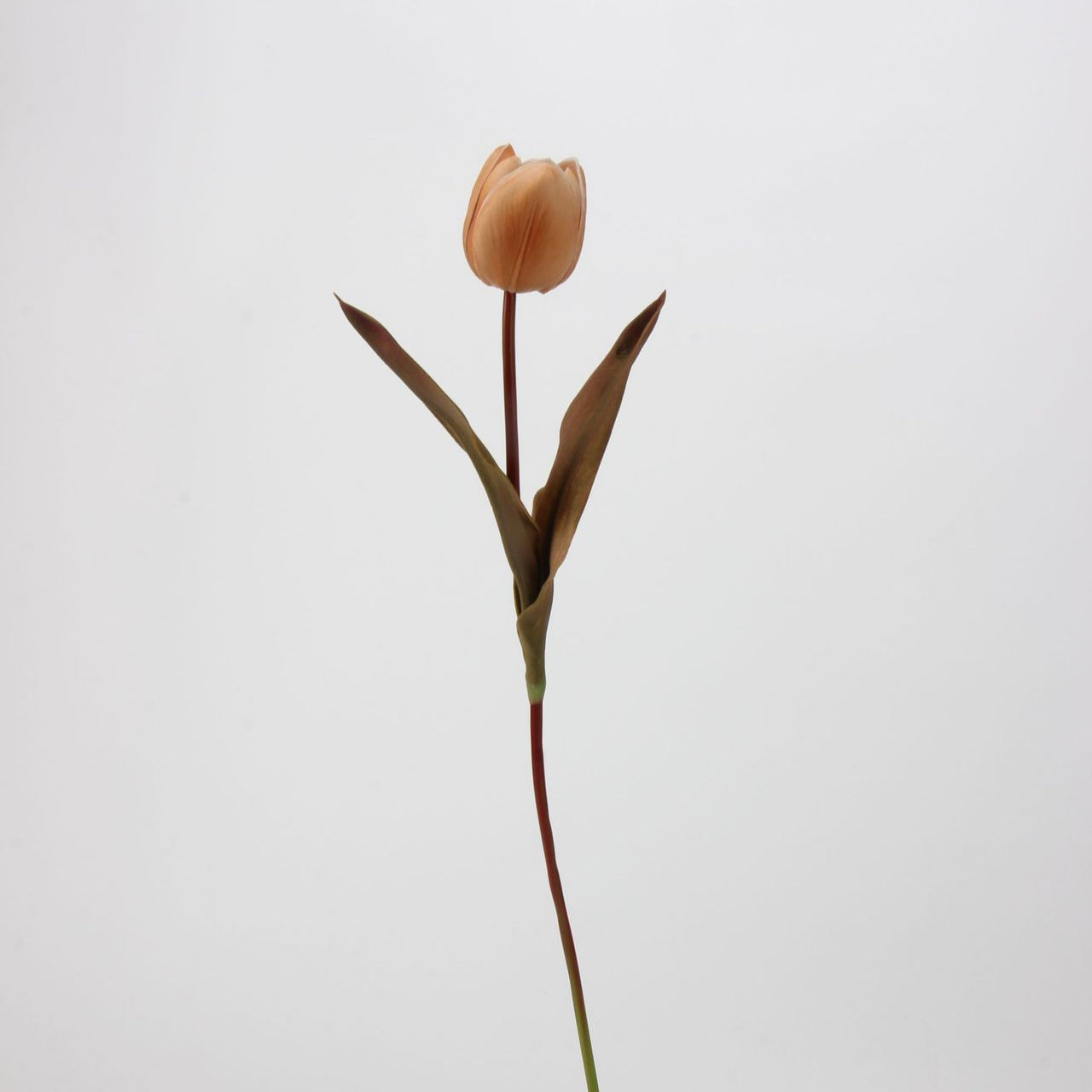 Real Touch Moody Tulip Bouquet — 5 Stems