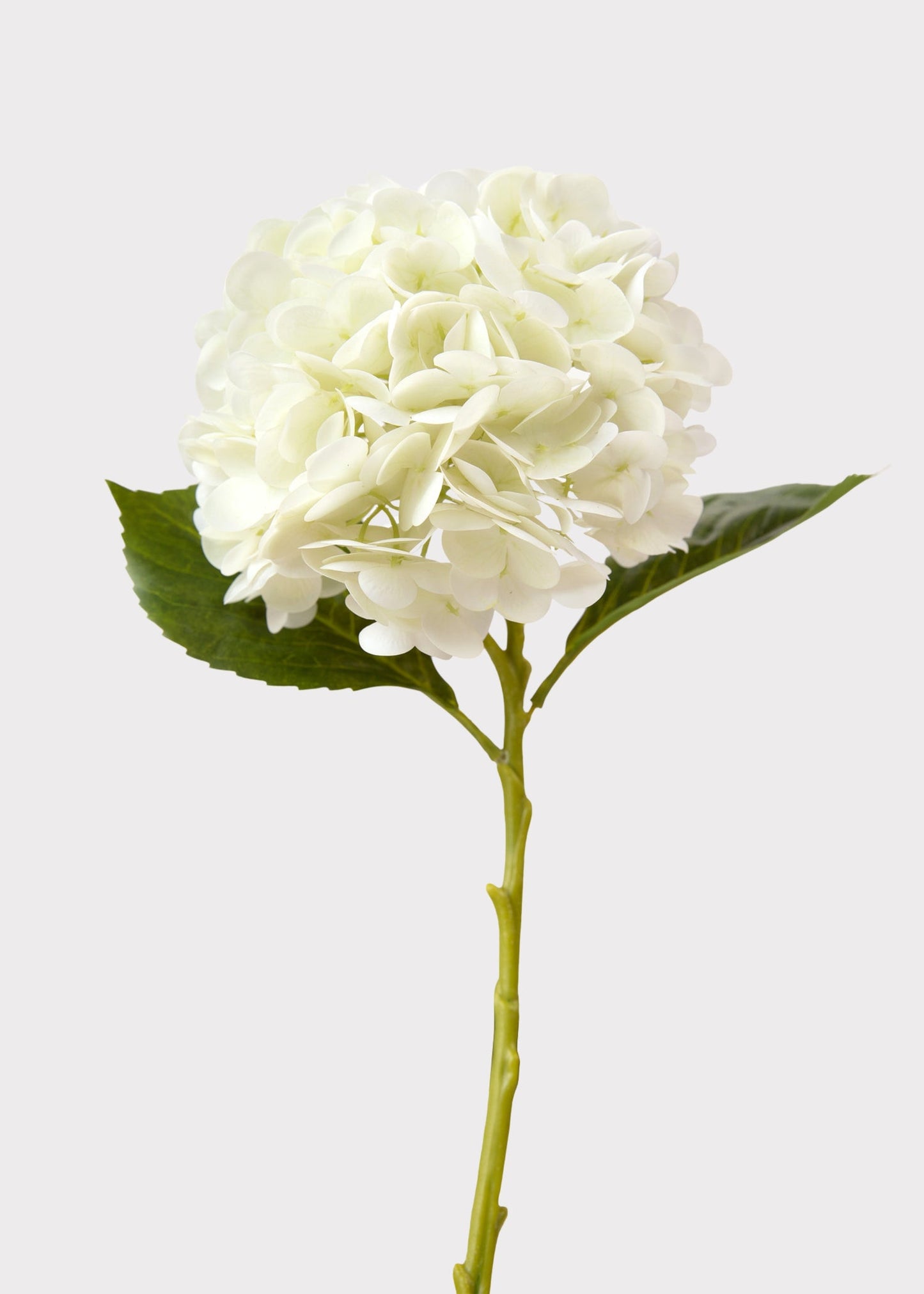 Real Touch Cream White Hydrangea Stem — 22"