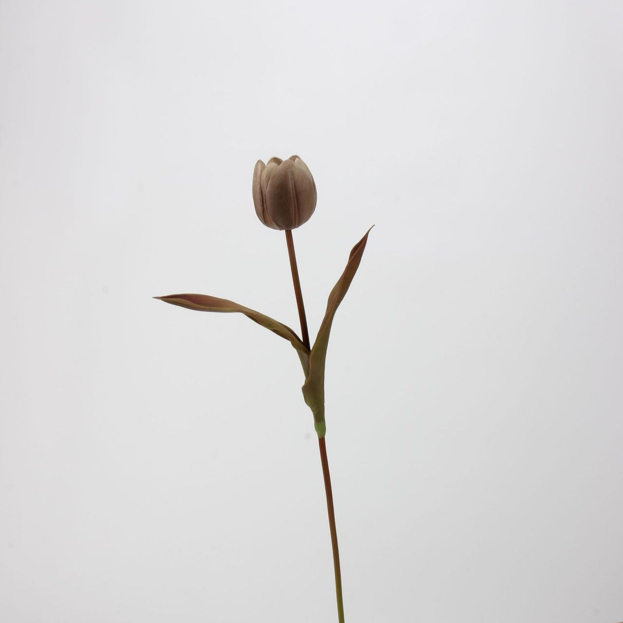 Real Touch Moody Tulip Bouquet — 5 Stems